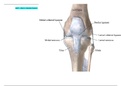  A&P1_ Mod 4- Skeletal System.