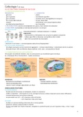 Samenvatting Celbiologie I (M. Baes)