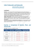 BSC 1010 LAB REPORT Cells Prokaryotic and Euk GRADED A