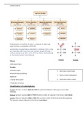 Everything to know about Carbohydrates for MBBS