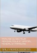 Analysis of the global and French aerospace sector