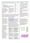 Amino acids and protein structure