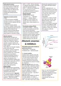 Enzyme Kinetics