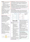 Fatty acids breakdown and synthesis and photosynthesis