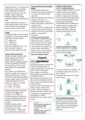 Organic chemistry