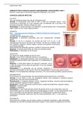 SAMENVATTING: Gynaecologische aandoeningen. Verloskunde jaar 2. 