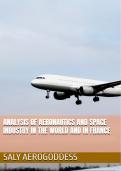 Analysis of the global and French aerospace sector