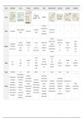 Summary Hormones - Plant Physiology