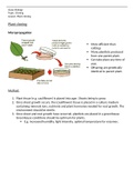 Plant cloning