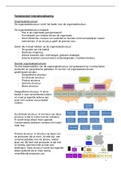 Internationaliseren (B-cluster, periode 2)