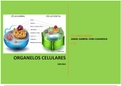 Organelos Celulares