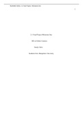 Essay Master Human Resource Global Context 