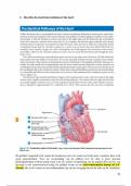  Ian Peate and Suzanne Evans (eds.), Fundamentals of Anatomy and Physiology