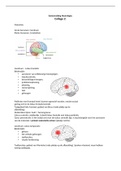 Samenvatting  Neurologie