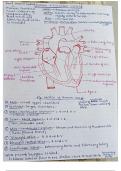 NCERT BASED SHORT NOTES 