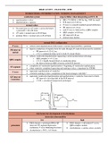 DYSRHYTHMIA INTERPRETATION / NURSING MANAGEMENT - High Acuity - Final Exam