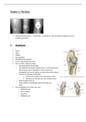 pathologie_knie