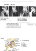 Samenvatting Pathologie MSK2 