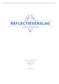 Reflectieverslag semester 3.1