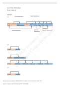 Exam ICT3621 2020 Complete Solutions