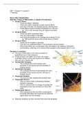 Chapter 11 Lecture 4