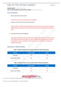 Exam (elaborations) BIOL 202L BIO 202L Lab 14 Worksheet- The Urinary System