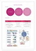 CHOQUE ANAFILACTICO - EMERGENCIAS PEDIATRICAS 