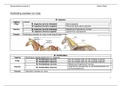 Samenvatting Anatomie 2 (V3AA50)