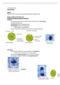 IB Biology Higher Level 1.6 Summary Notes