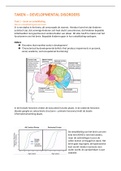 Blok 2: developmental disorders MMH (kind- en jeugd) - alle taken compleet uitgewerkt