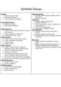 Epithelial Tissues Overview