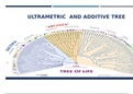 Phylogenetic matrices