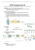 Operations management samenvattingen H1 t/m H12   Supplement B