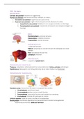 College aantekeningen Neurobiologische Achtergrond Van Opvoeding En Ontwikkeling  