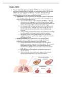 NURSE-UN24 - A_E I Exam 2 Study Guide.