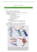 Samenvatting Biologie: H17 DNA: VWO 6; Nectar