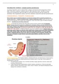 cobalamin anemia and folic acid deficiency 