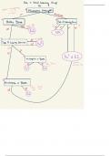 Reaction Flowchart Substitution and Elimination Orgo 1 (Chem 210) Umich