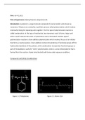 CHM 205 Experiment 4 Making Polymers lab report