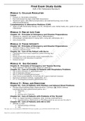 NUR 2790 PROFFESSIONAL NURSING 3 STUDY GUIDE