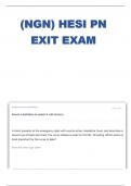 Exam (elaborations)NGN Exit hesi 