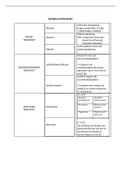 Verpleegkundig redeneren en handelen 1: Anatomie: schema membraantransport