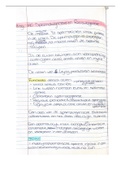 HC Spermatogenese en Folliculogenese