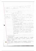 American Government (POLS 1101) Notes 