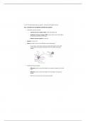 Biol 105 Mammalian Nervous System Notes 