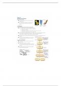 Biol 105 Cell Cycle and Cell Division Notes 