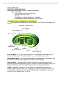 BIOL 3362 STUDY GUIDE TEST 1 (Biochemistry, Membranes, Plants, Bacteria, Calvin Cycle, Chloroplast, Photosynthesis, Amino Acids).