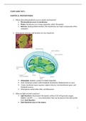 BIOL 3362 - EXAM 1 STUDY GUIDE (Biochemistry, Photosynthesis, Amino Acids).