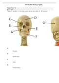 HPR 205 Week 2 Quiz Graded A+(Latest update Original quiz)
