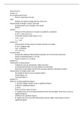 The Fundamental SI units